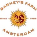  Barney&#39;s Farm is a cannabis seed...