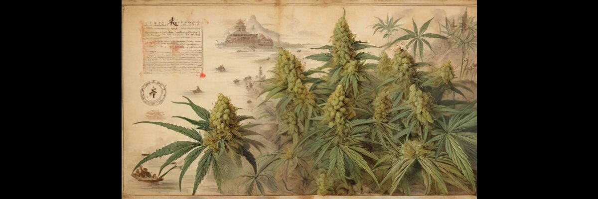 Die geschichtliche Entwicklung von Cannabis - Die Geschichte von Cannabis