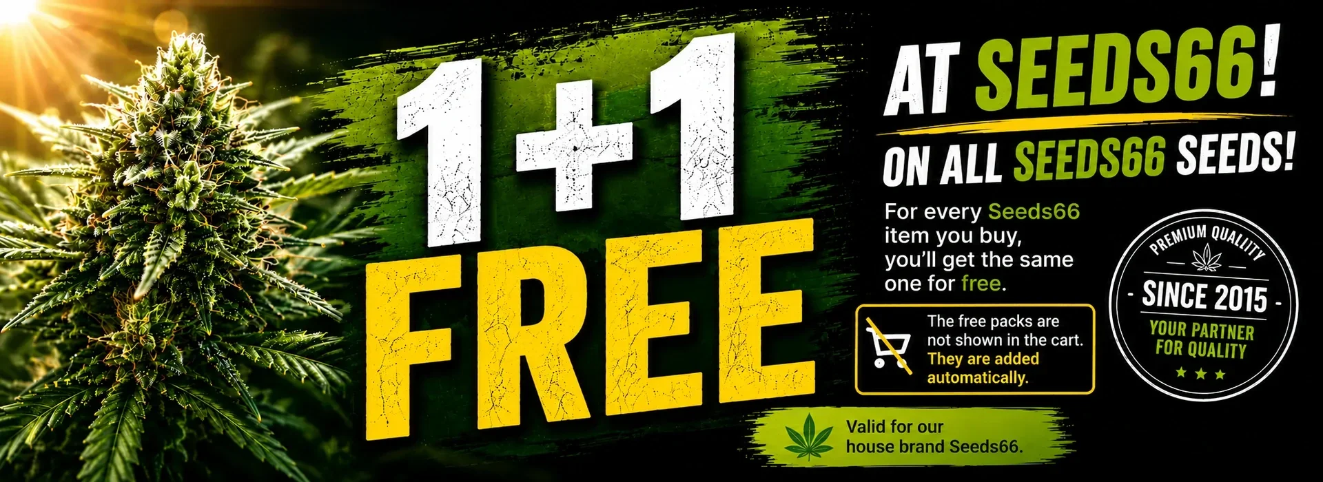cannabis_seeds_desktop_en