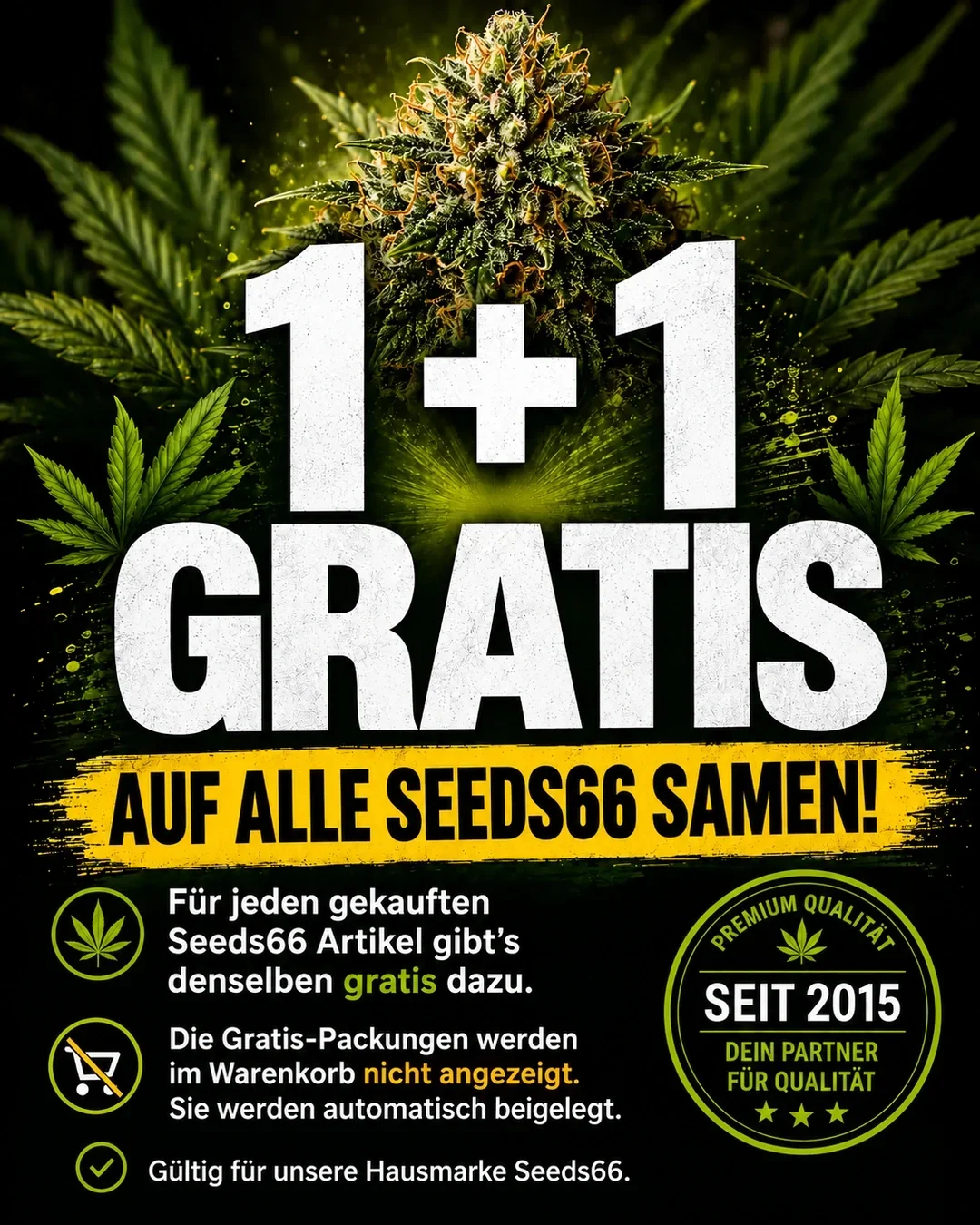 hanfsamen_aktion_mobil_de