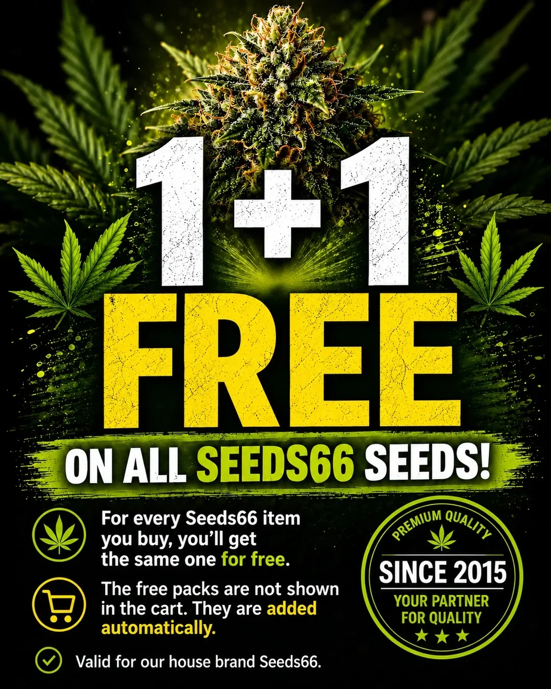 cannabis_seeds_mobil_en