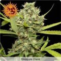 Pineapple Chunk - Barneys Farm