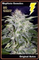 24 Carat Automatic by Mephisto Genetics