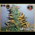 L.A. Cheese Feminised Seeds 5 Seeds