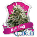 Kali Dog Feminisierte Samen 5 Seeds