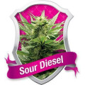 Sour Diesel Feminisierte Samen 5 Seeds
