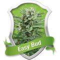 Easy Bud Automatic Feminised Seeds 3 Seeds