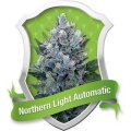 Northern Lights Auto - Royal Queen Seeds