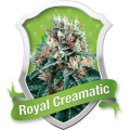 Royal Creamatic Automatic Feminised Seeds 3 Seeds