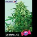 Caramelice - Positronic Seeds