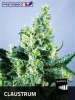Claustrum by Positronic Seeds