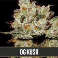 OG Kush from Blimburn Seeds 6 Seeds