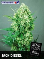 Jack Diesel by Positronic Seeds
