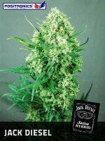 Jack Diesel - Positronic Seeds