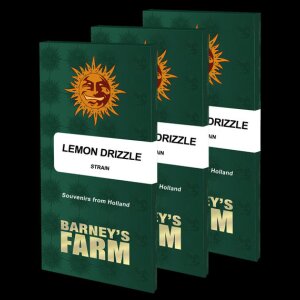 Lemon Drizzle from Barneys Farm 3 Seeds