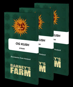 OG Kush by Barney´s Farm