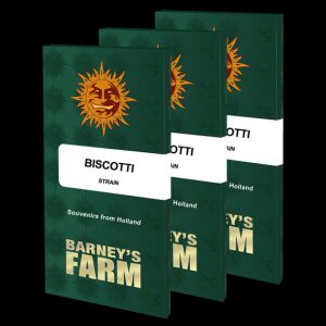 Biscotti by Barneys Farm 3 Seeds