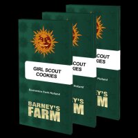 Girl Scout Cookies - Barneys Farm 1 Samen