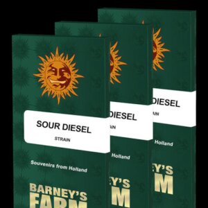 Sour Diesel - Barney`s Farm