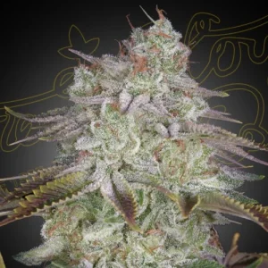 AlienZ - Greenhouse Seeds