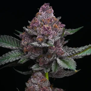 Cherry Poppers - Barney´s Farm