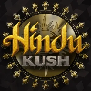 Hindu Kush by Barney´s Farm