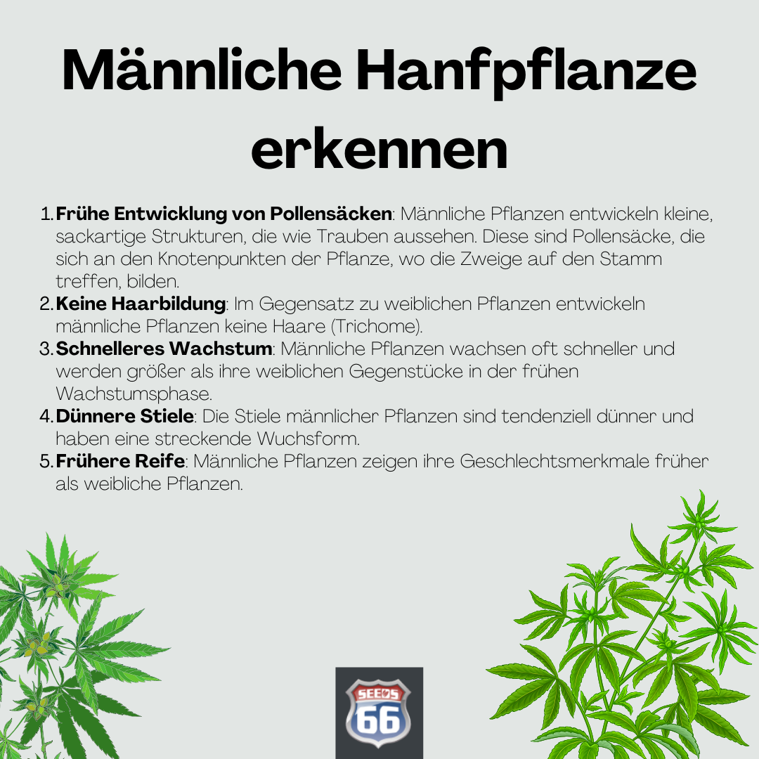 infografik