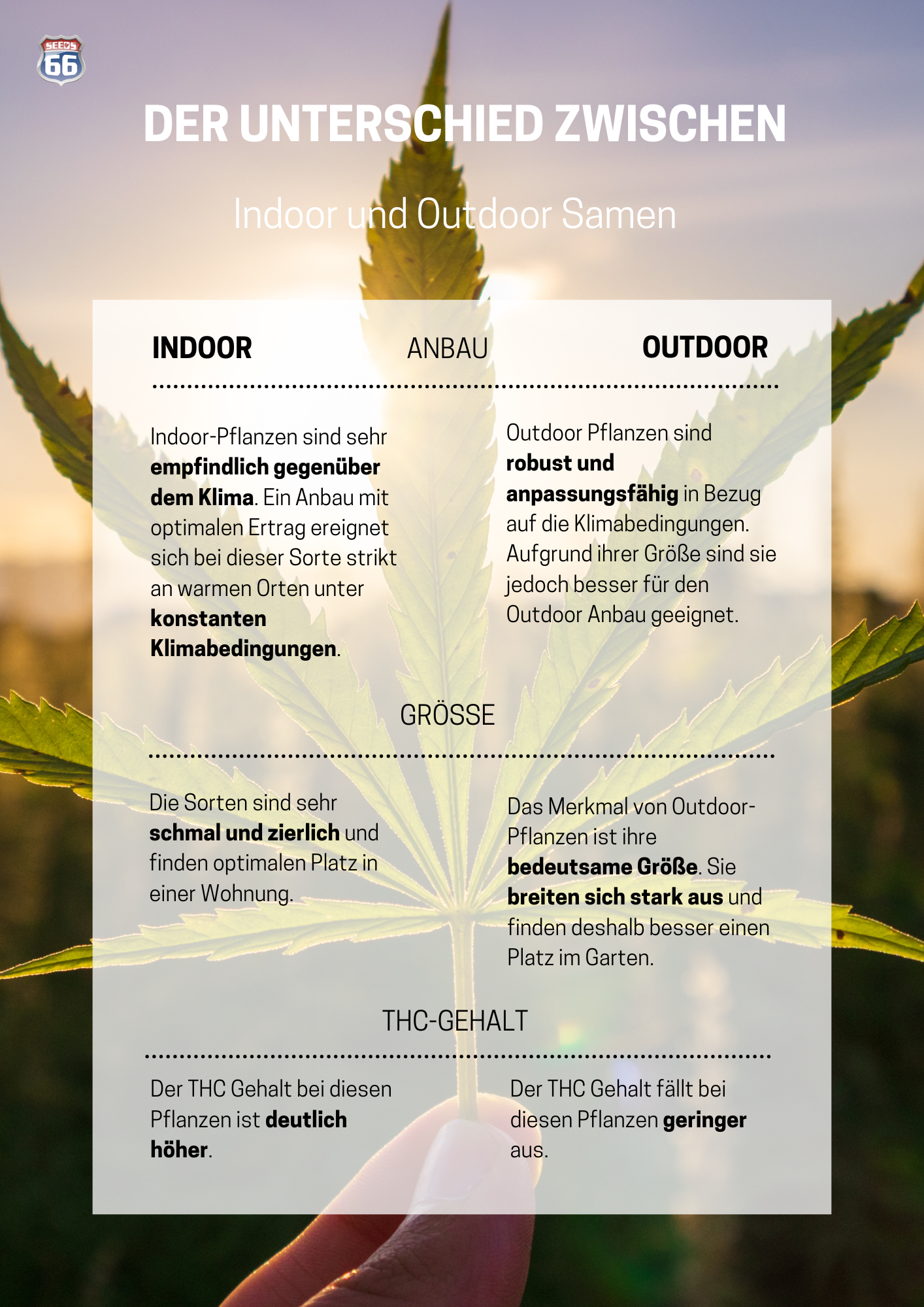 infografik_unterschied_indoor-outdoor
